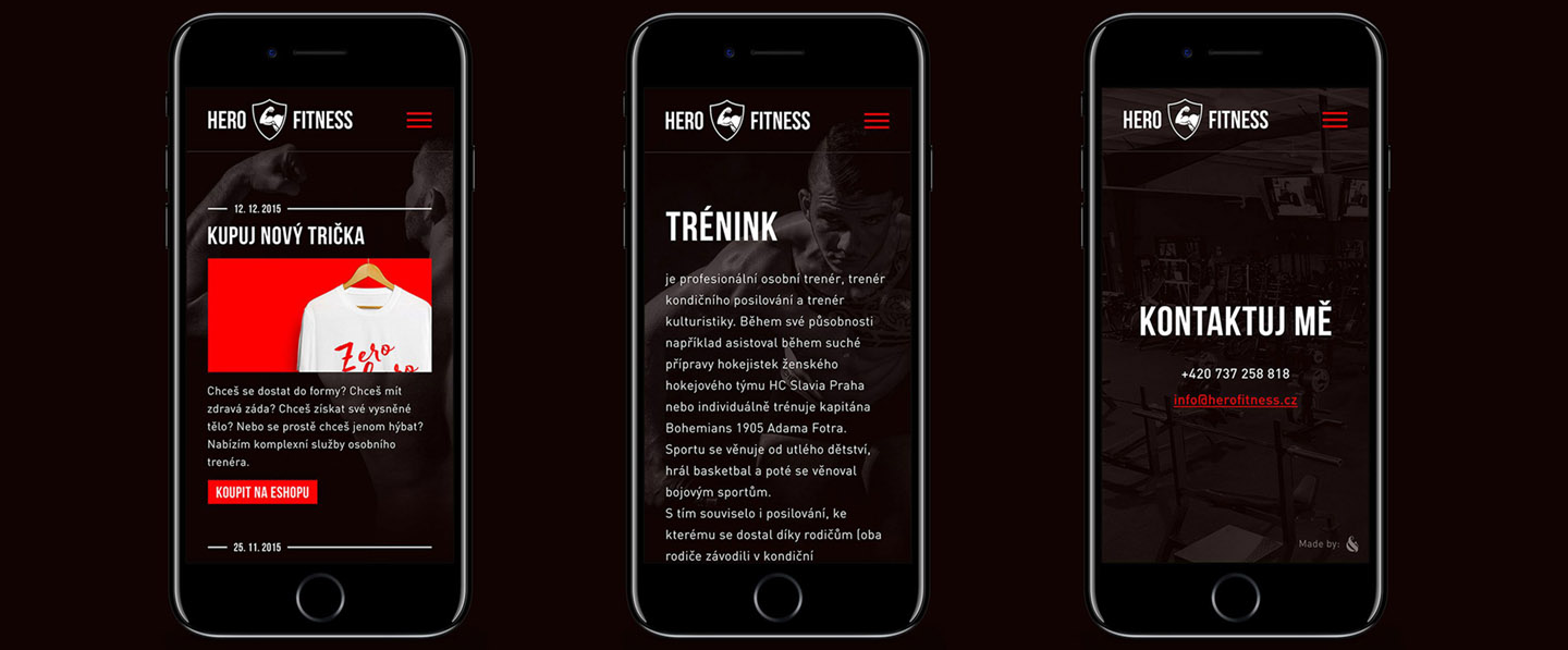 Hero fitness web mobile